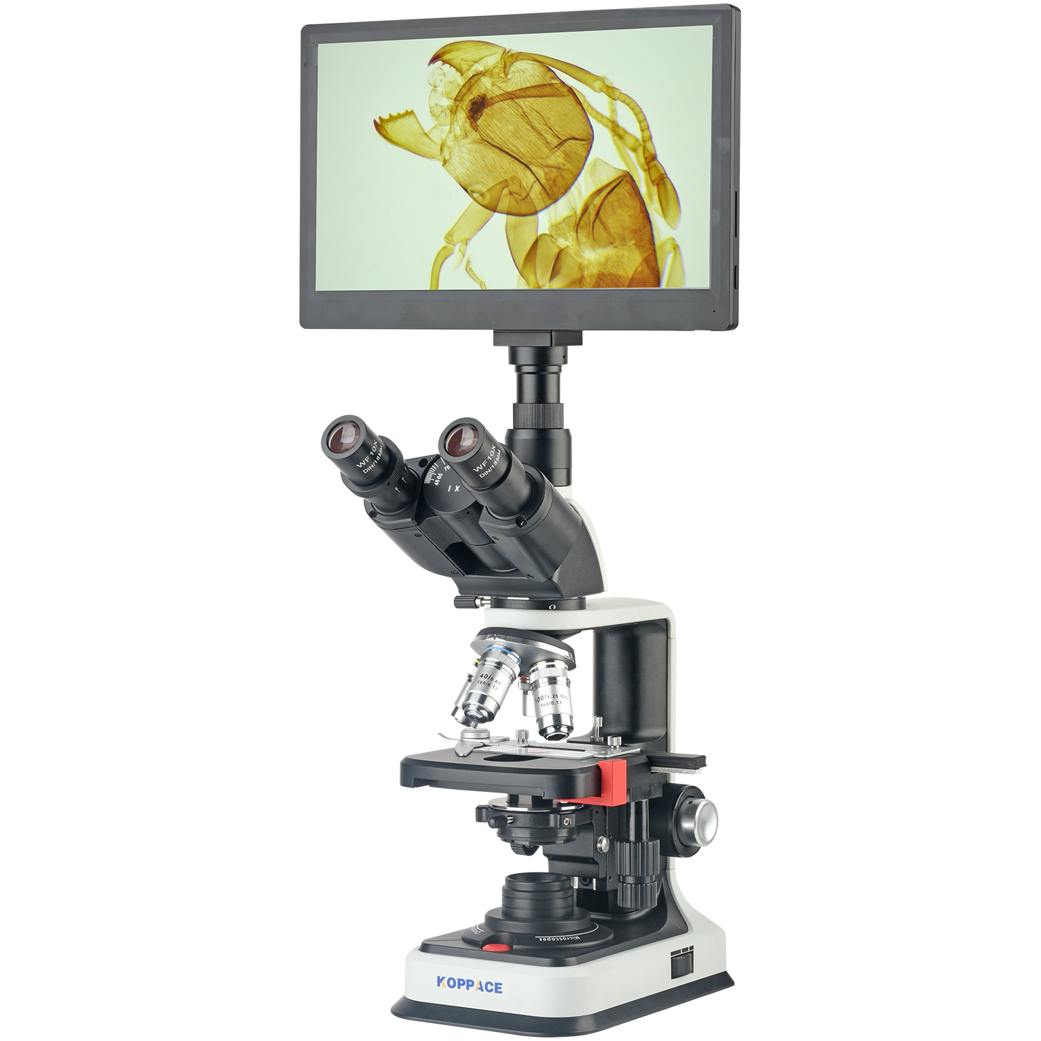 Microscopio Electrónico Compue - Microscope Compound 40X reseña y precio